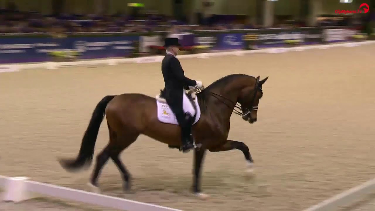 Hubertus Schmidt - Dressage Rider